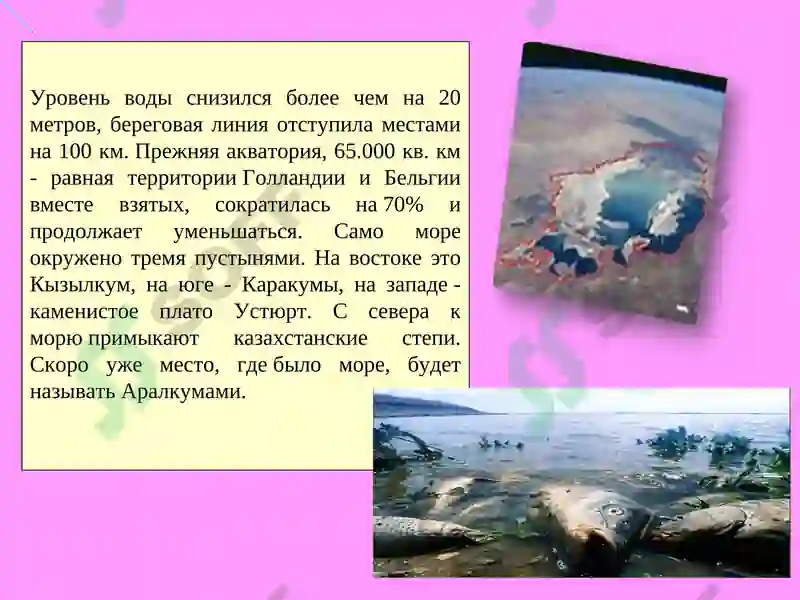 Preview 7