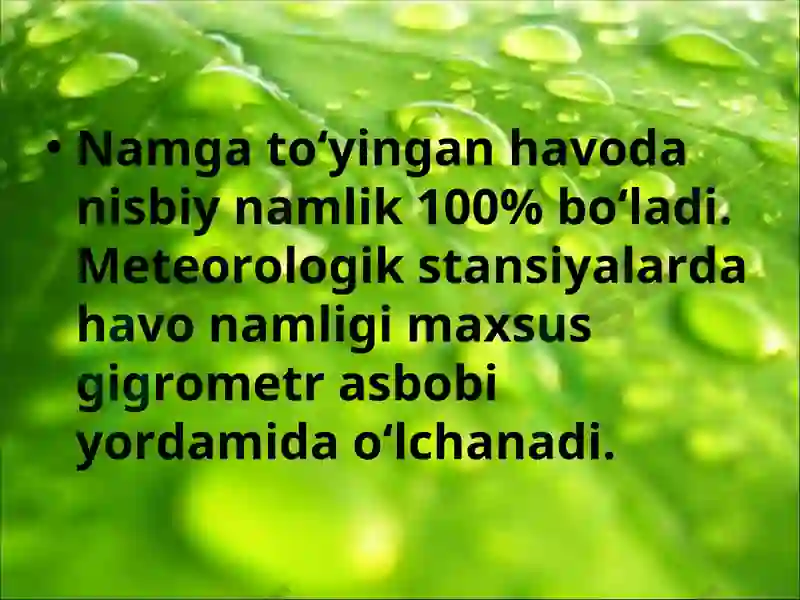 Havodagi suv bug‘i 7