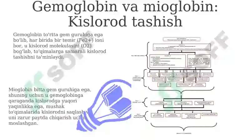 Kompleks birikmalar-biologik faol birikmalar 7