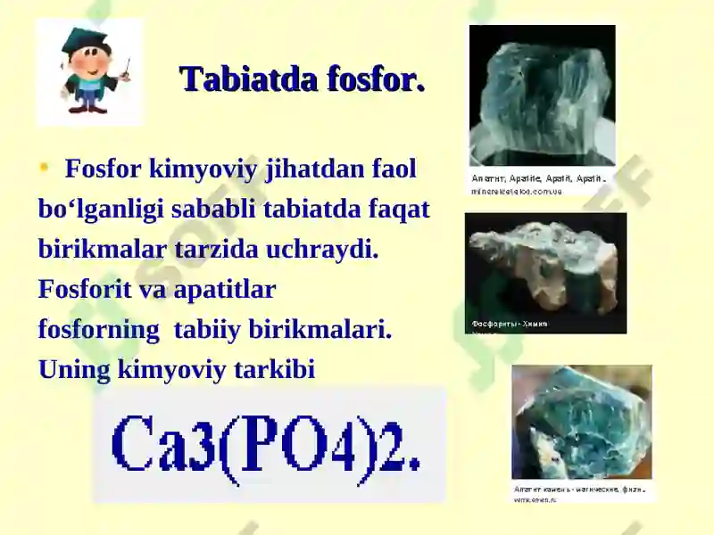 Preview 7