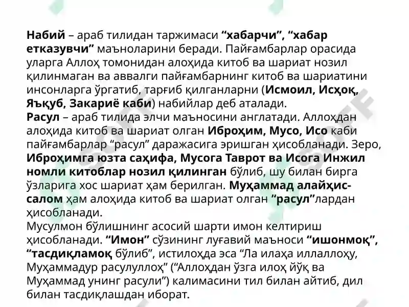 Preview 7