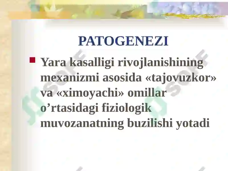 Preview 7