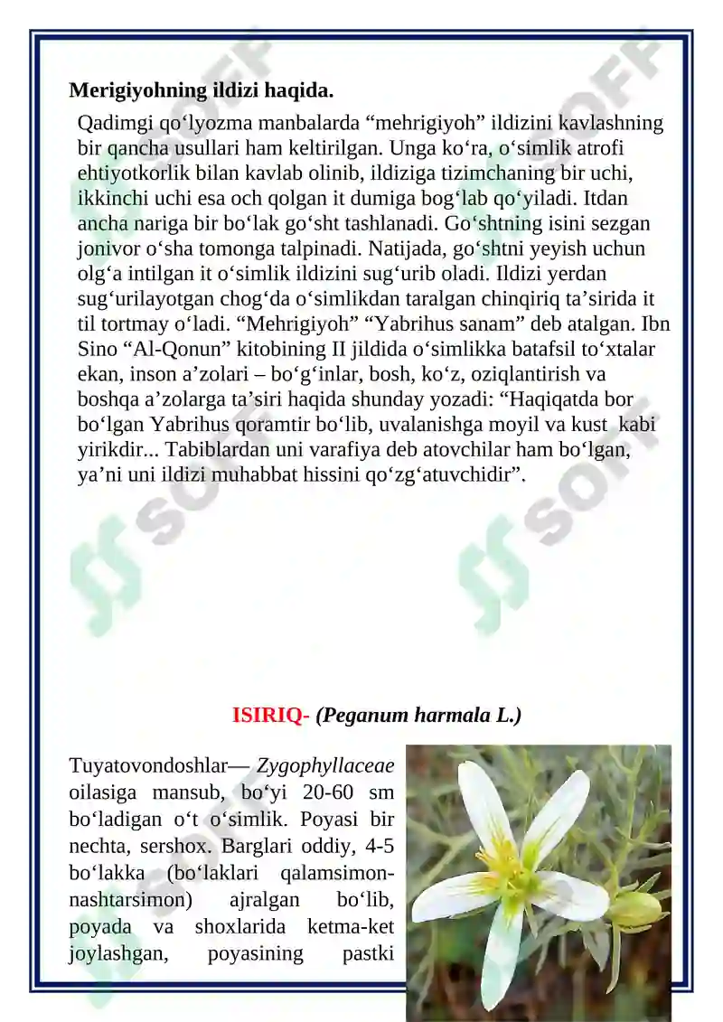 Preview 7