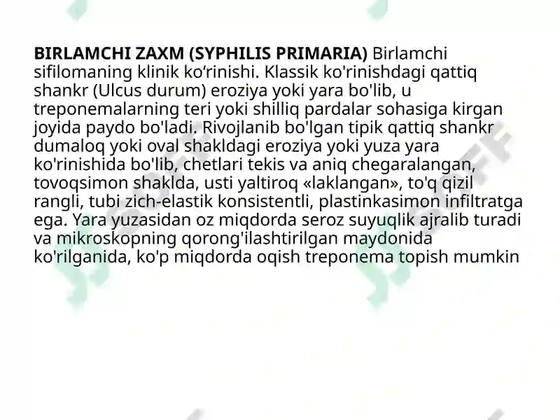 Preview 7