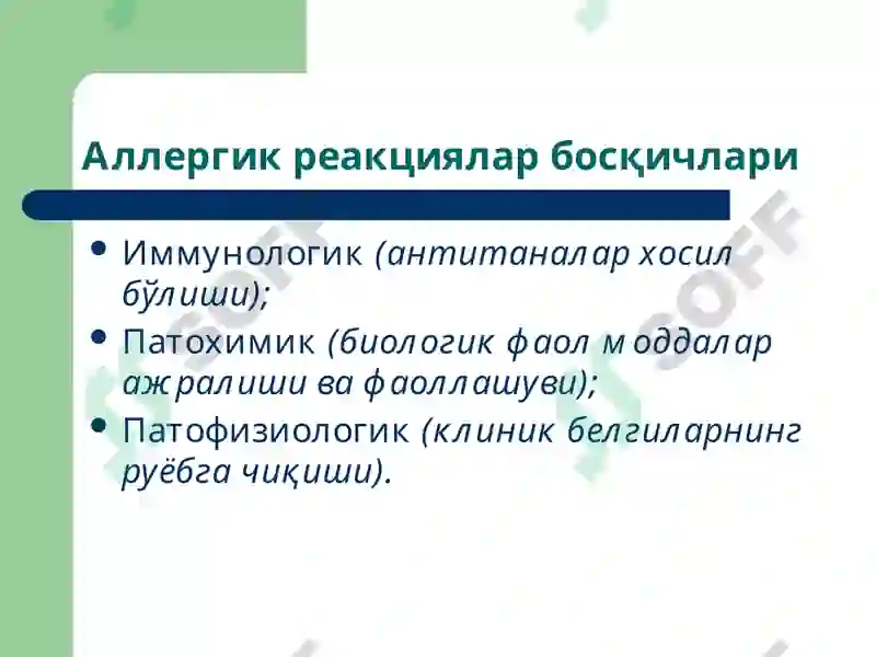 Preview 7