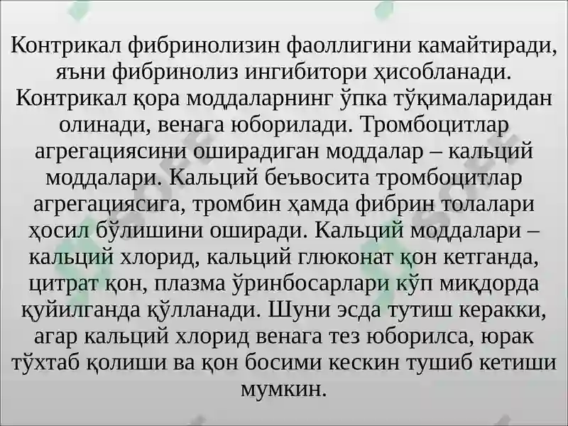 Preview 7