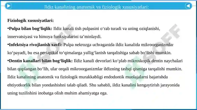 Preview 7