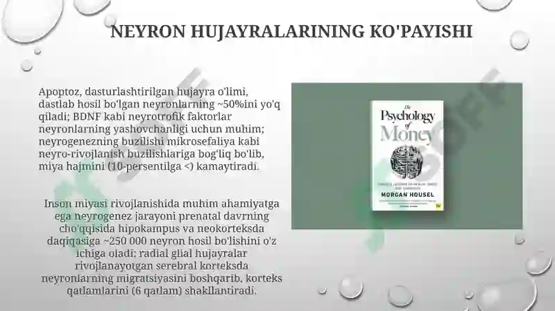 Preview 7