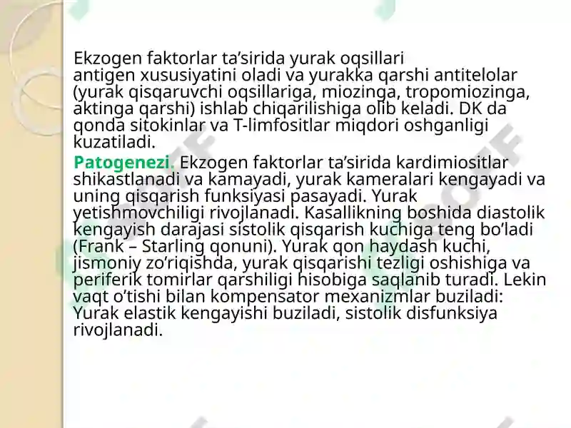 Kardiomiopatiya 7
