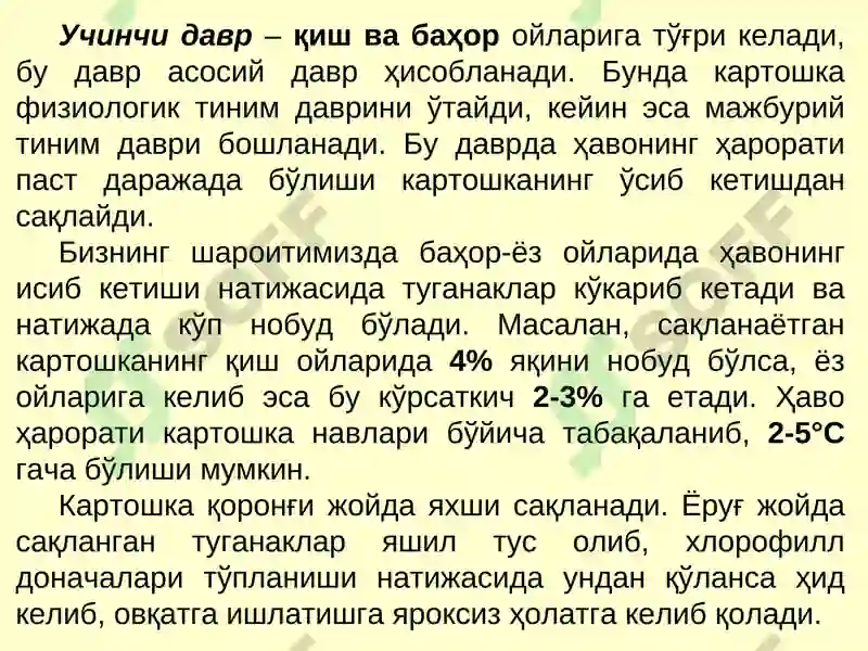Картошка ва полиз маҳсулотларини сақлаш технологияси 7