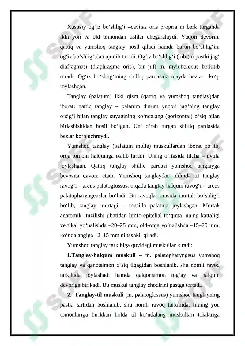 Preview 7