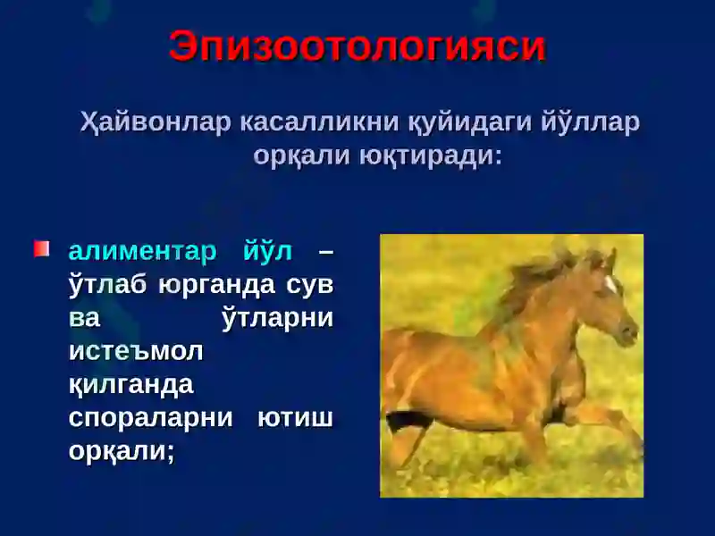 Куйдирги (Bacillus anthracis) 7