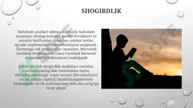 Preview 7