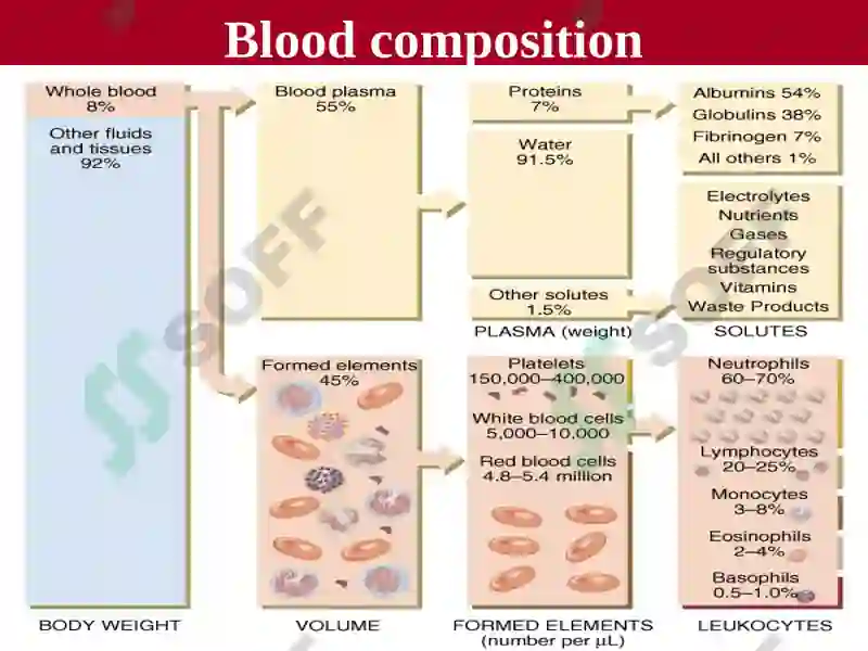 Blood 7