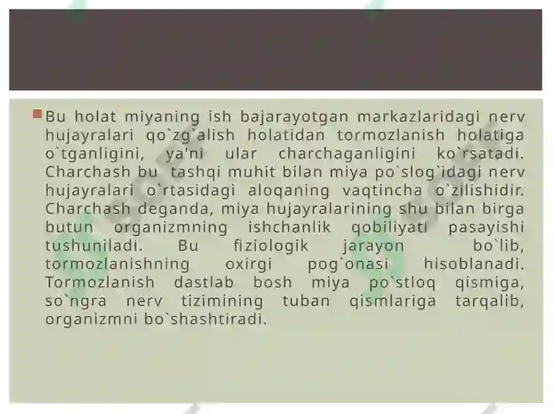 Preview 7