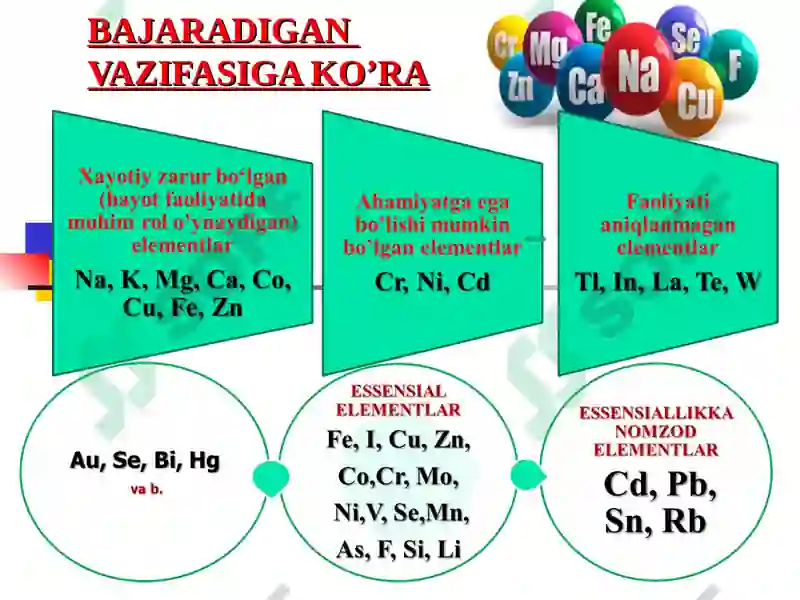 Biogen Elementlar Kimyosi 8