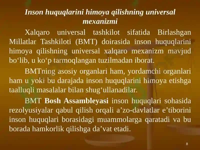 Inson huquqlari bo‘yicha xalqaro standartlar va himoya qilish mexanizmlari 8