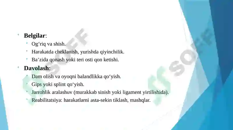 Preview 8