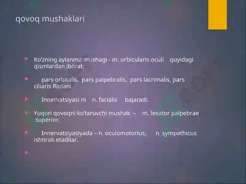 Preview 8