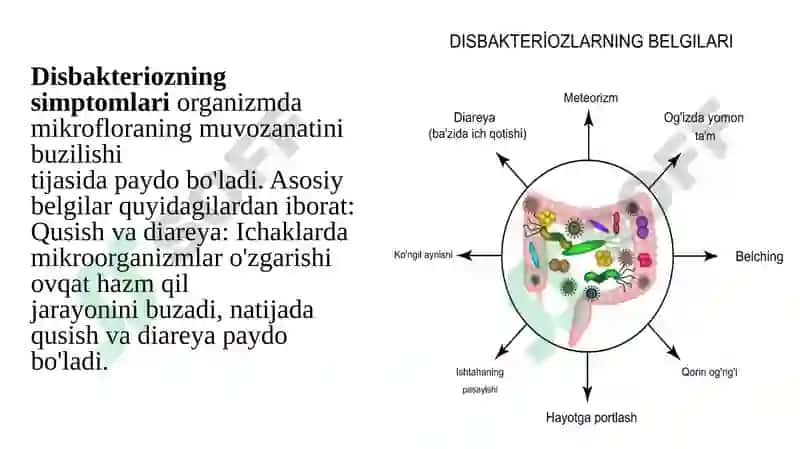 Disbakterioz, disbioz, kelib chiqishida qatnashuvchi omillar. Disbakterioz, disbiozlarga bakteriolog 8