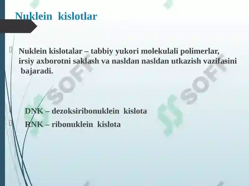 Preview 8