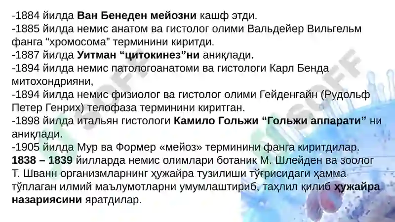 Preview 8