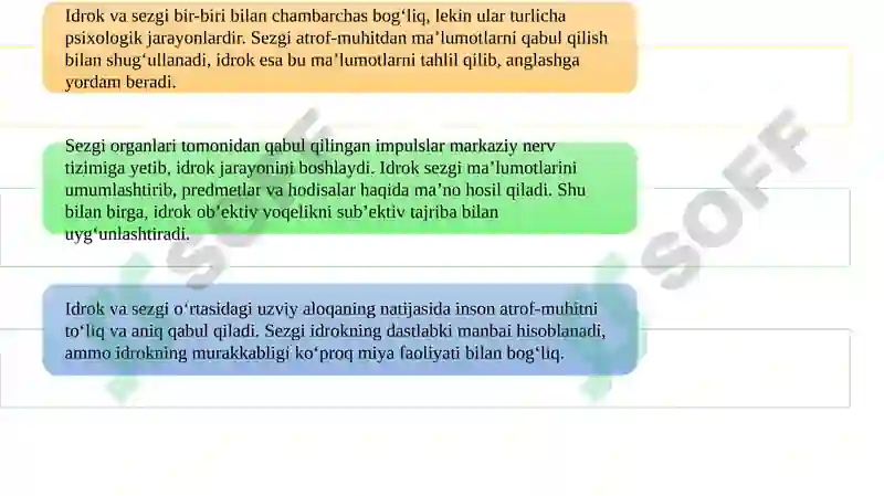 Preview 8