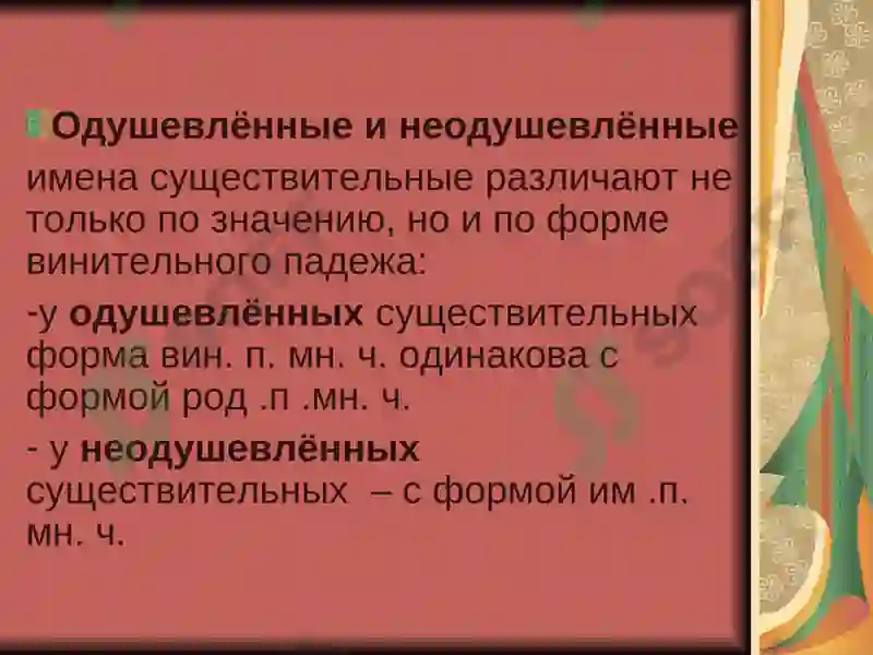 Preview 8