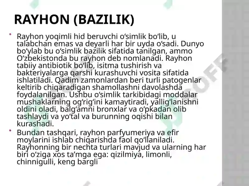 Preview 8