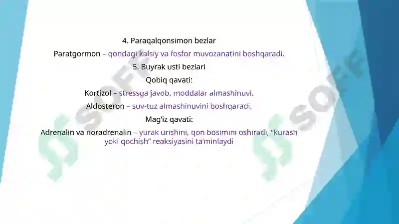 Preview 8