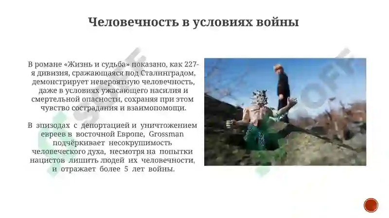 Preview 8
