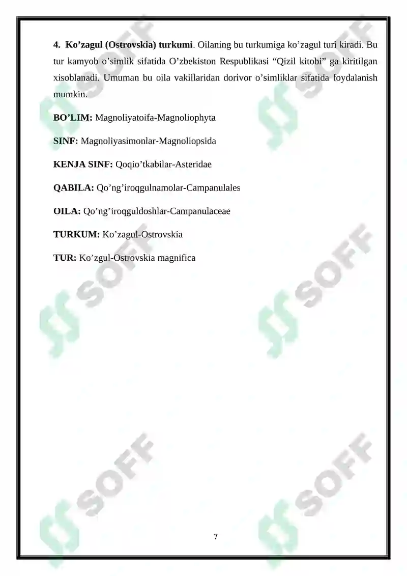 Preview 8