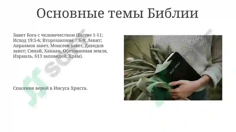 Preview 8