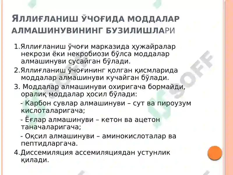 Preview 8