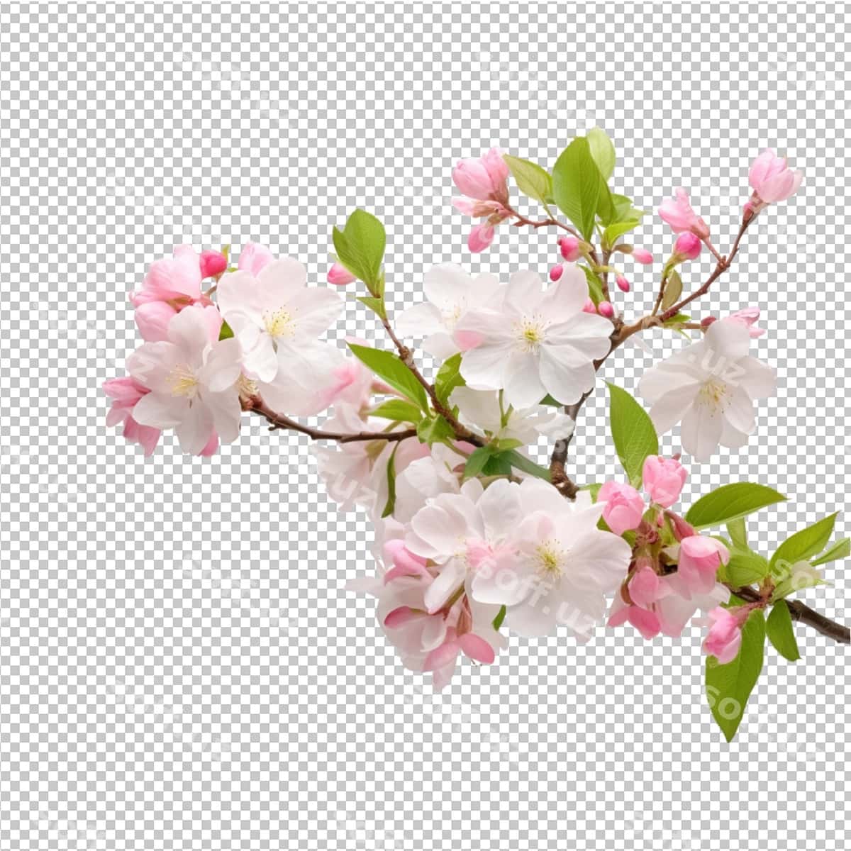 Bahor Yoz Gullar Model Reklamasi | Spring summer flowers model advertsing 1