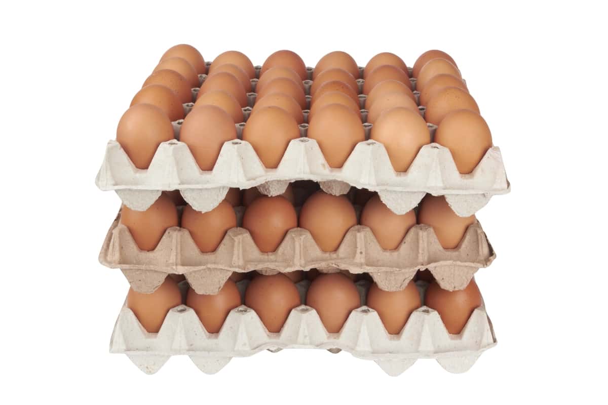 Jigarrang tuxumlarni karton tovoqlar ustiga qo'ying | Stack brown eggs cardboard trays 1