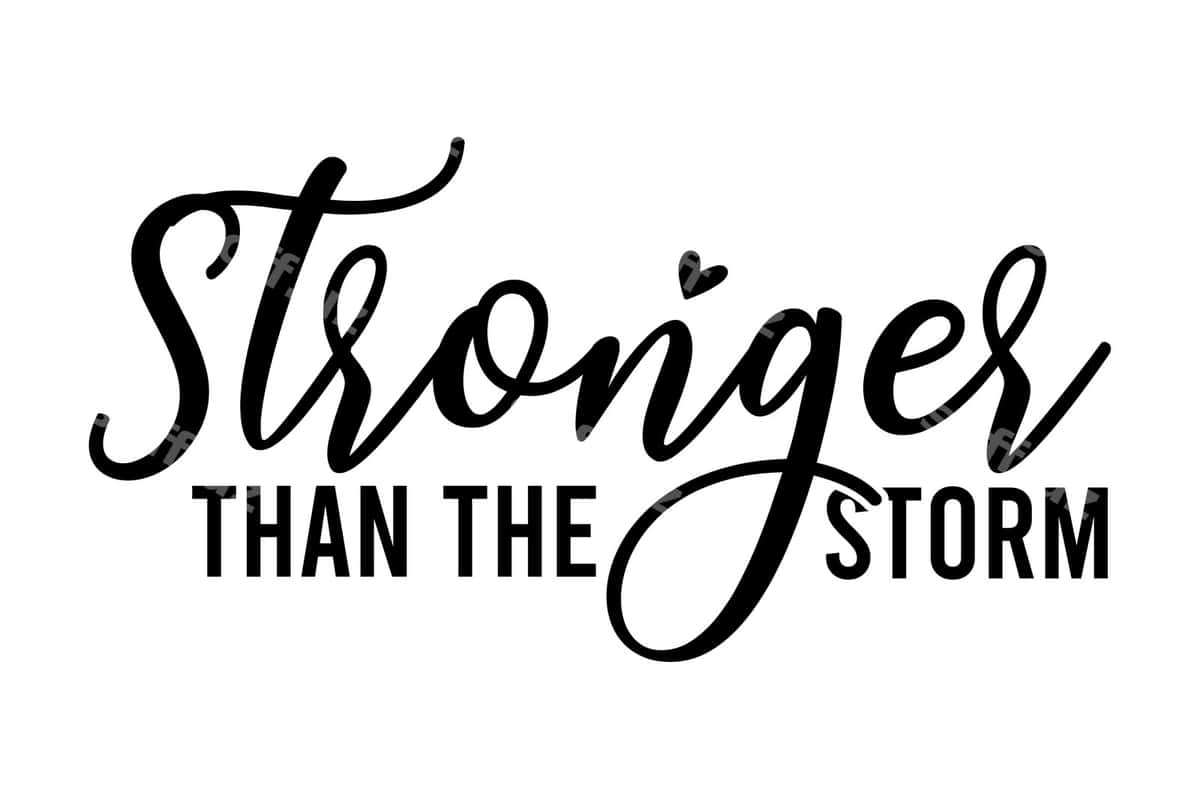 Bo'rondan kuchliroq | Stronger than storm 1