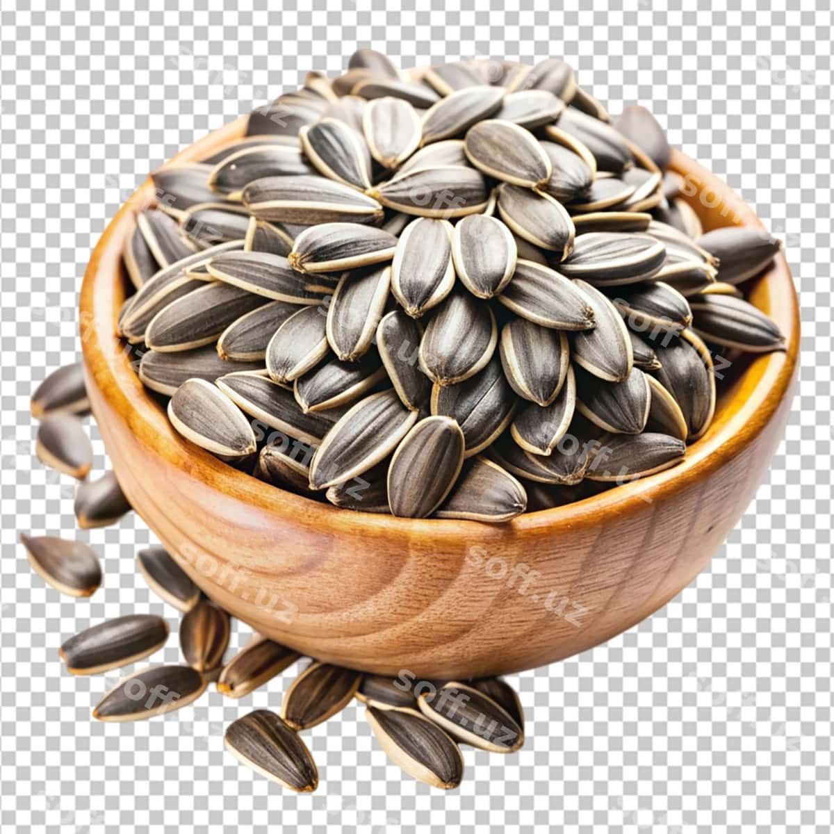 Qizil qurdi urug'lari shaffof orqa fonda | Sunflower seeds transparent background 1