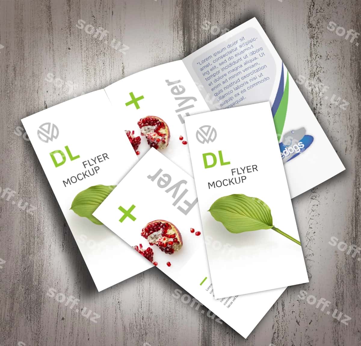 Uch qirra broshyur dizayni | Trifold brochure design 1