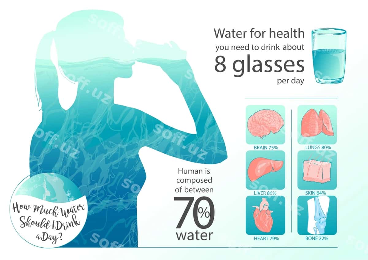 Vektor ayol suv ichmoqda | Vector woman drinking water 1