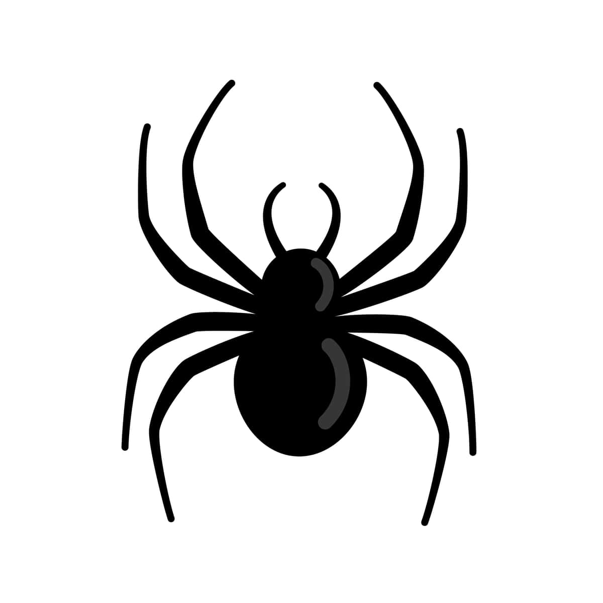 O'rgimchak silueti izolyatsiya qilingan oq fonda qo'rqinchli uzun oyoqlari bilan | Spider silhouette isolated white background scary with long legs 1