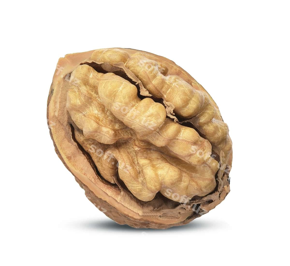 Urug'chalar oq orqa fonda | Walnuts kernels white background 1