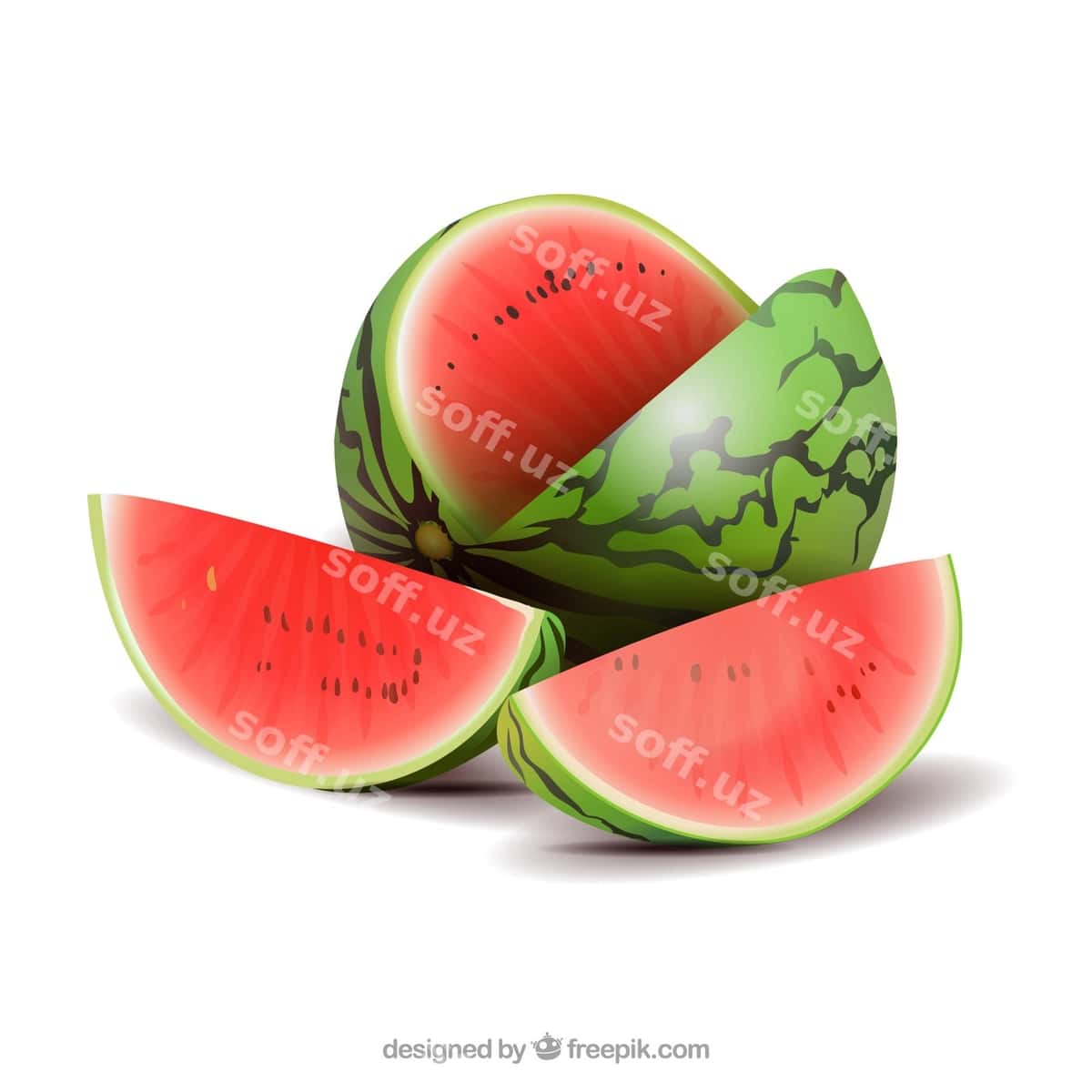Tarvuzning real uslubi | Watermelon realistic style 1