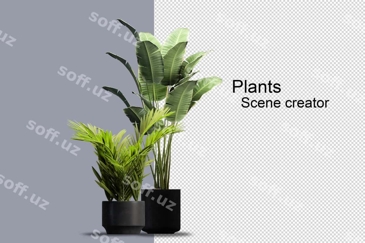 Keng turli daraxtlar va chuqurlar namoyishi | Wide variety trees shrubs rendering 1