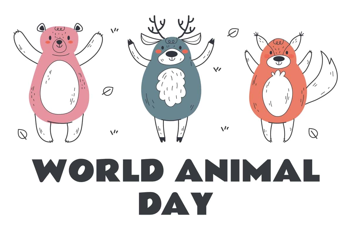 Yovvoyi tabiat kuni jahon hayoti yovvoyi hayvonlar o'rmon tabiatni muhofaza qilish konsepsiyasi | Wildlife day world life wild animal forest nature conservation concept 1