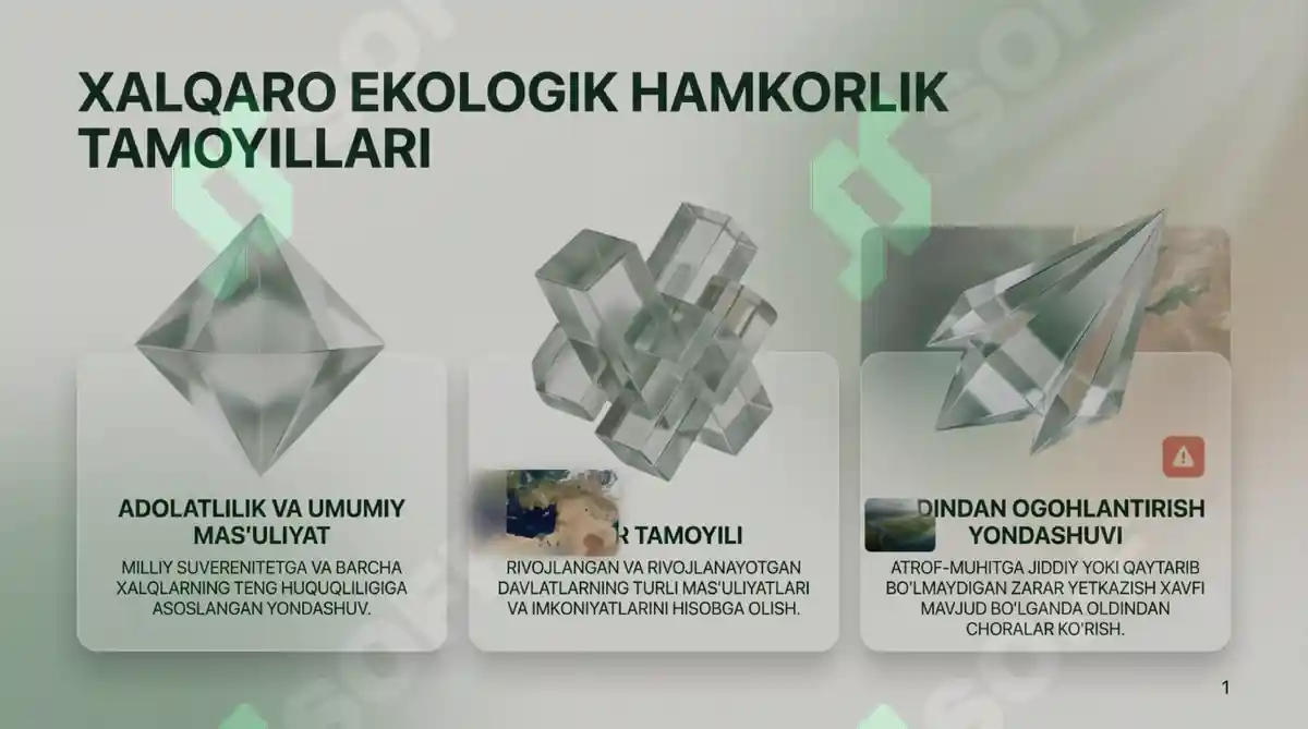 Unknown Presentation File 2