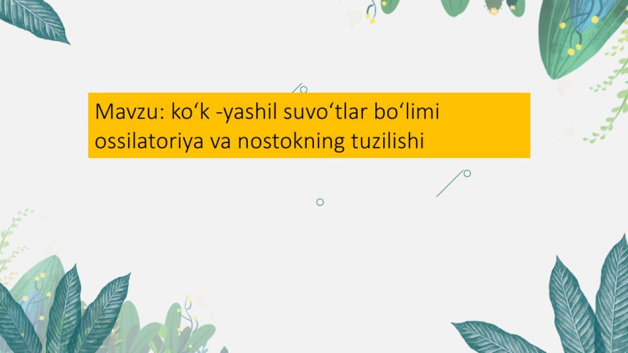INTEGRAL XIZMATLARNING HAQIDA  UMUMIY MALUMOT