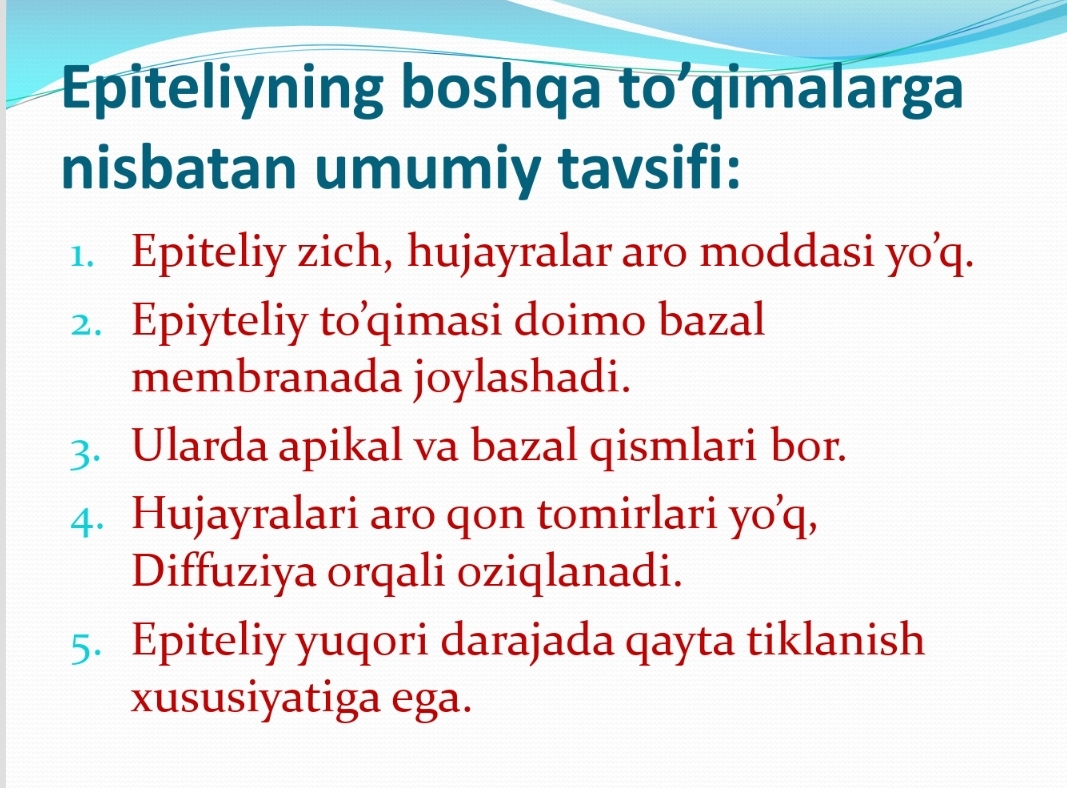 Epiteliy to'qimasi va bezlar
