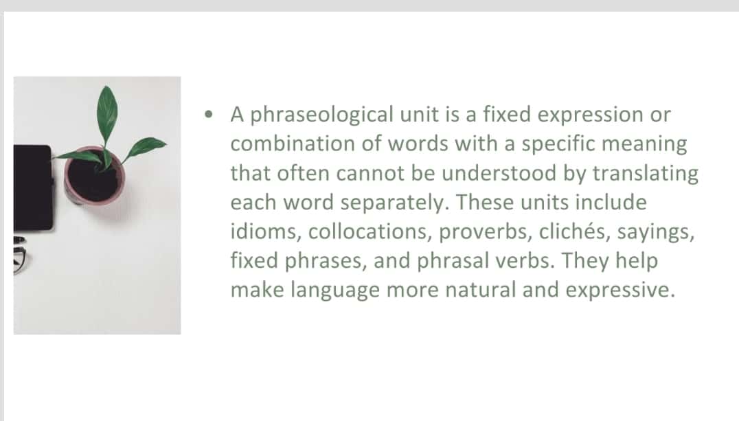 Phraseological problems of translation