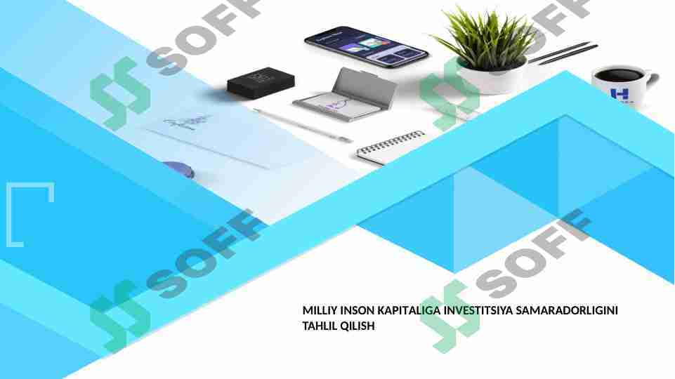 MILLIY INSON KAPITALIGA INVESTITSIYA SAMARADORLIGINI TAHLIL QILISH